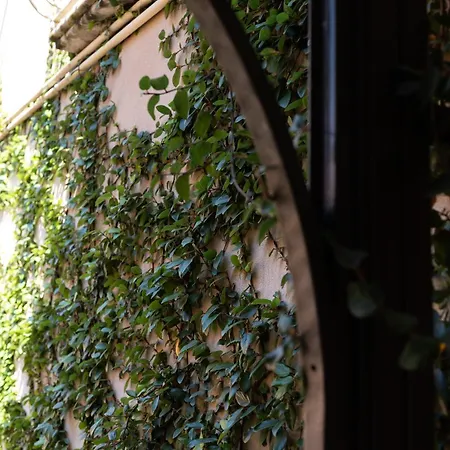 Angolo Sui Tetti A Pietrasanta