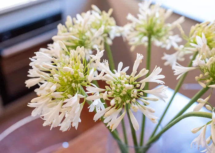 Angolo Sui Tetti A Διαμέρισμα Pietrasanta