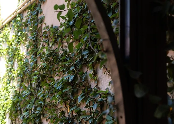 Angolo Sui Tetti A Pietrasanta